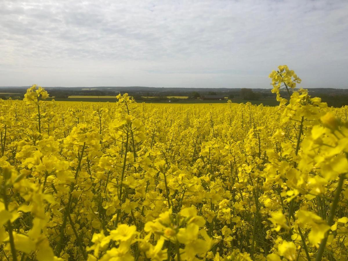 Rosloevs Gard Vackert Boende I En Naturskoen Miljoe. Flyinge 외부 사진