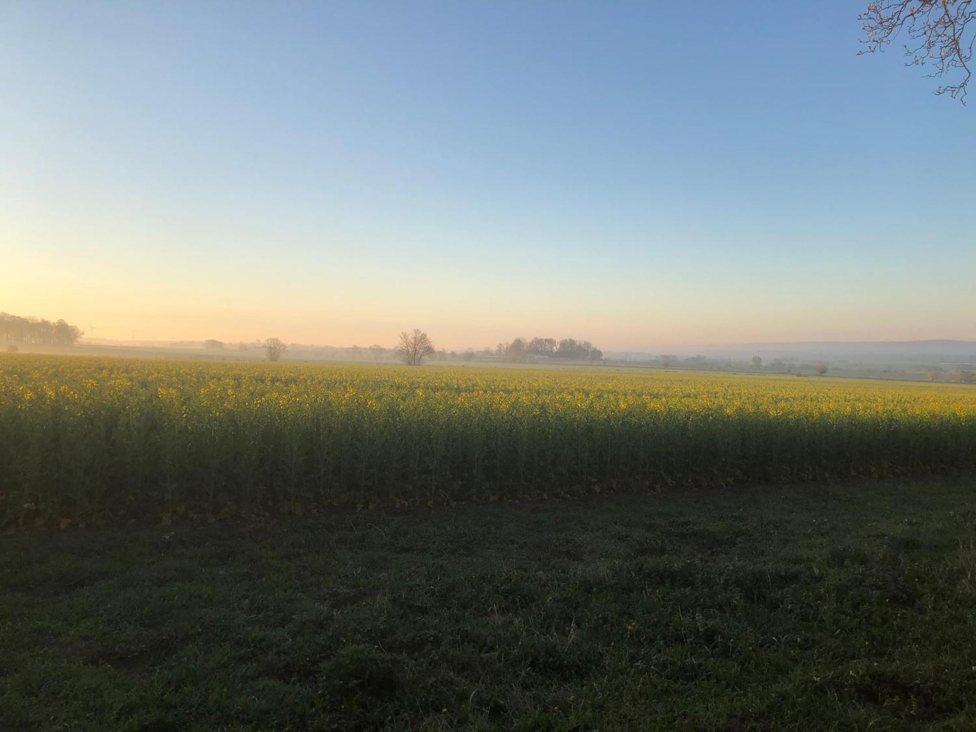 Rosloevs Gard Vackert Boende I En Naturskoen Miljoe. Flyinge 외부 사진